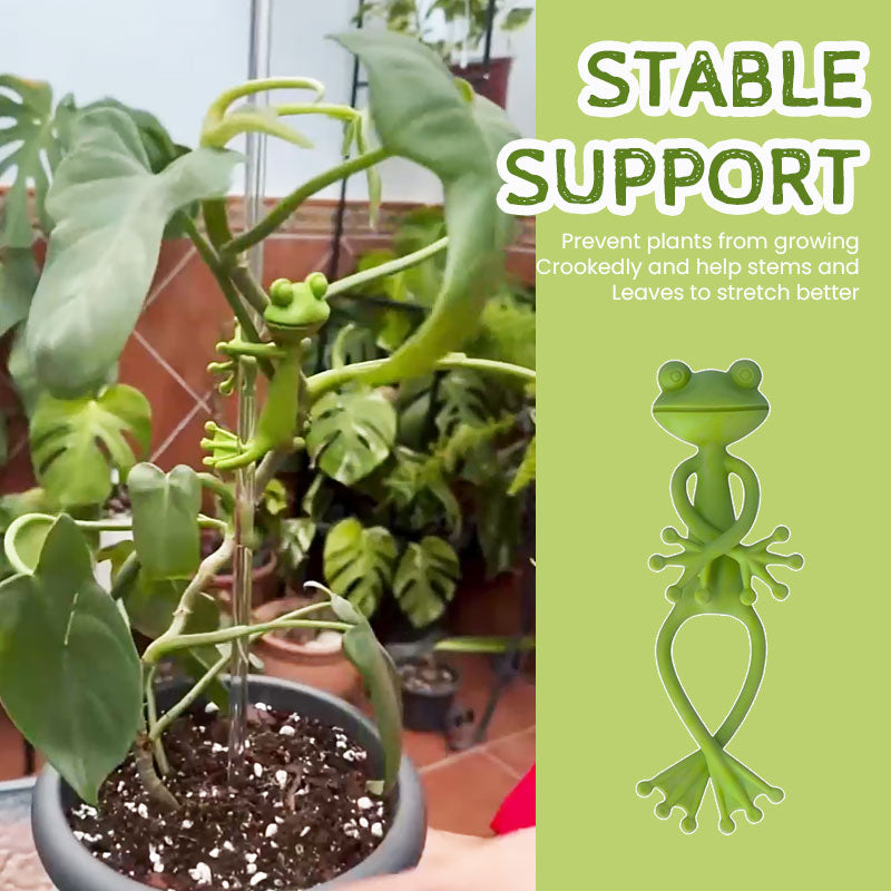 Planteoppsats for frosk