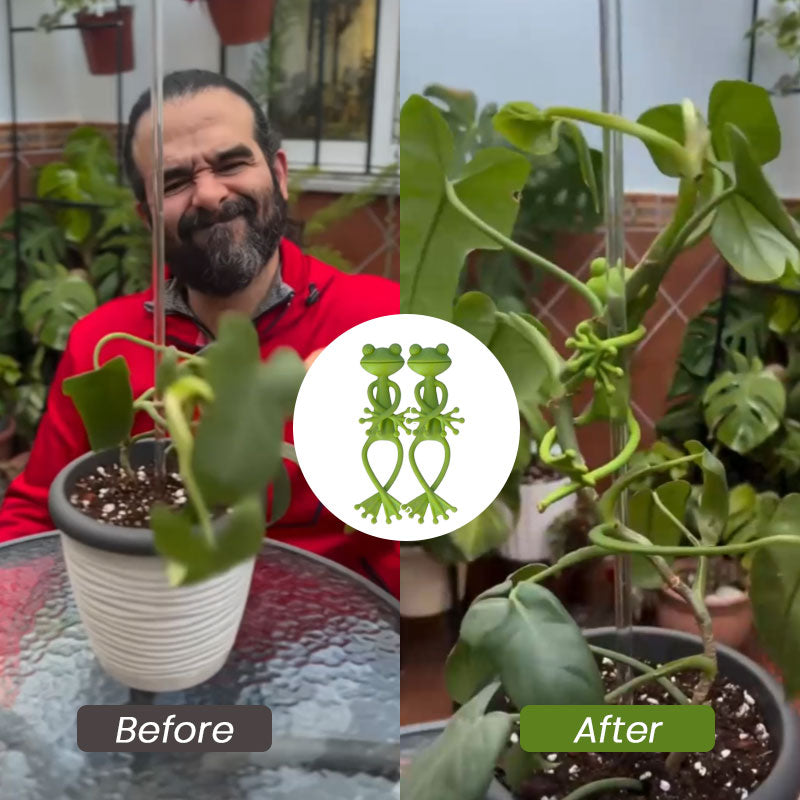 Planteoppsats for frosk