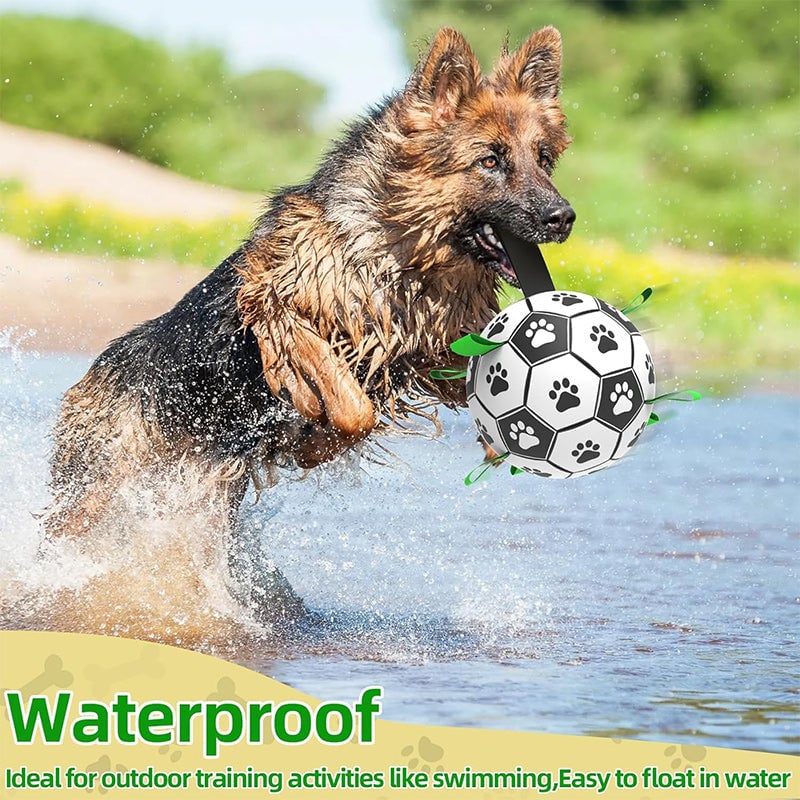 Hundefotballleketøy