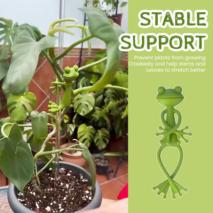 Planteoppsats for frosk