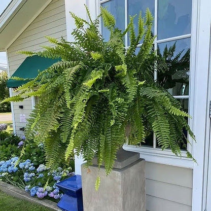 UV-bestandig og naturtro kunstig Boston Fern