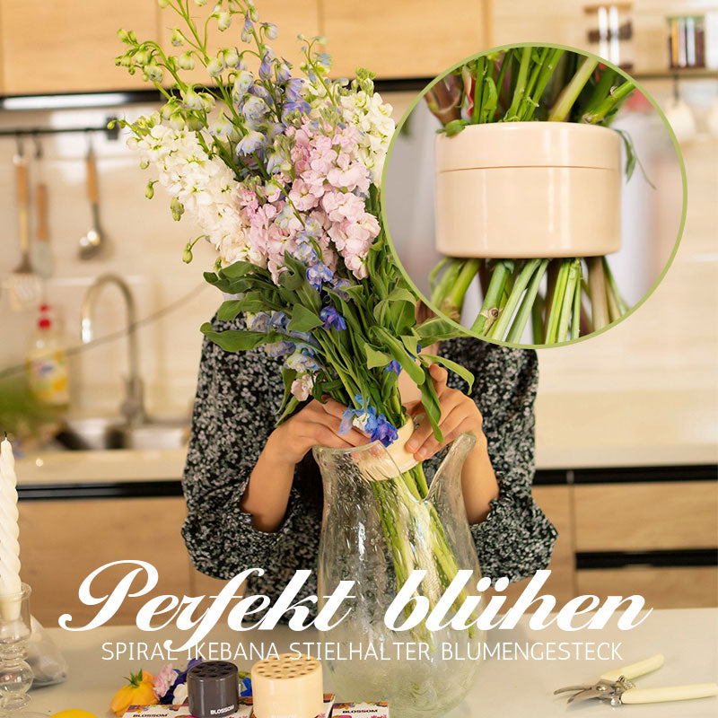 🎄Valentinsdagstilbud - 49 % RABATT🎄Spiral Ikebana-stilkholder