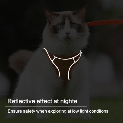 🎁Kattesele Og Bånd