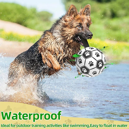 Hundefotballleketøy