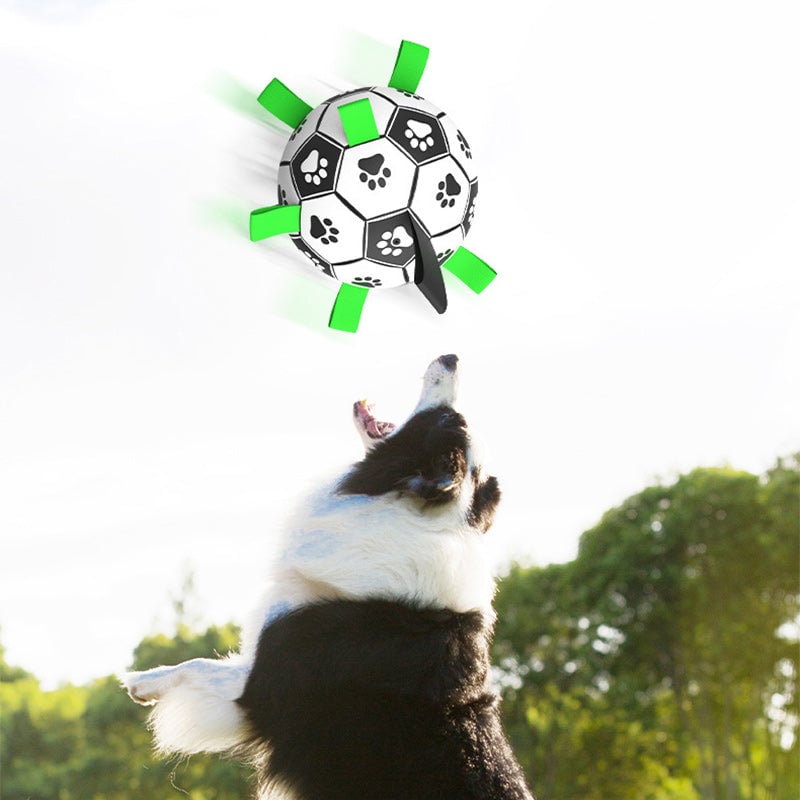 Hundefotballleketøy