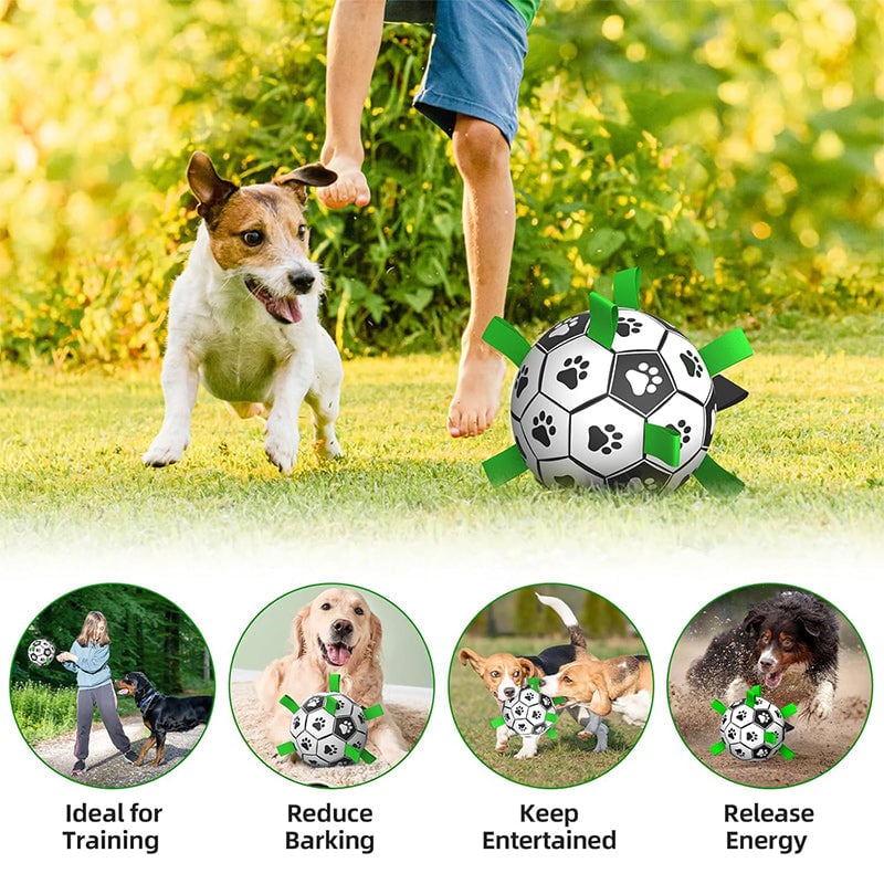 Hundefotballleketøy