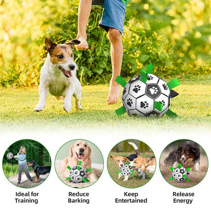 Hundefotballleketøy